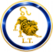 Professional gold lion logo for LEO L.T. Maintenance Services LLC, providing residential and commercial AC maintenance, HVAC services, dryer vent cleaning, and general maintenance in Broward, Palm Beach, and Miami-Dade County, Florida.